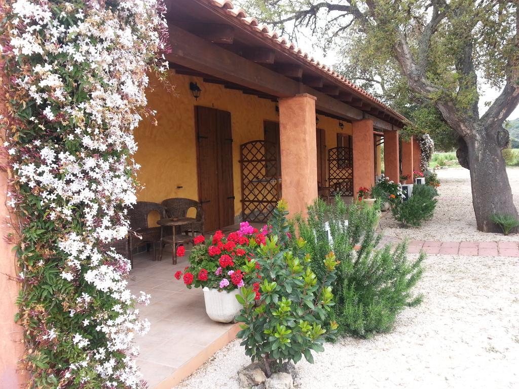 Agriturismo La Barca In Secca Olmedo Exteriér fotografie